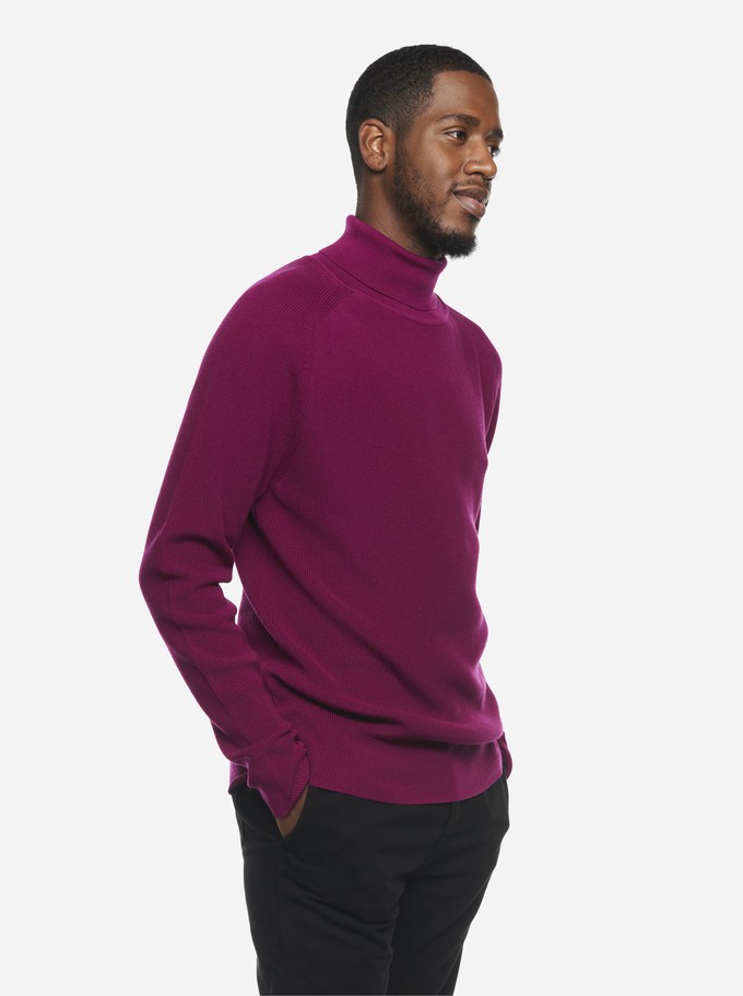 The Turtleneck Sweater from TEYM