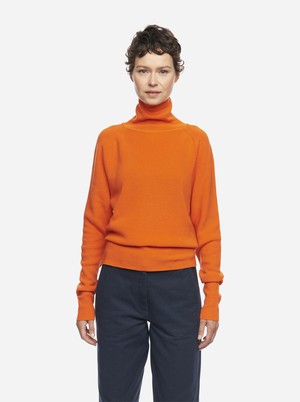 The Turtleneck Sweater from TEYM