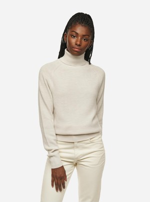 The Turtleneck Sweater from TEYM