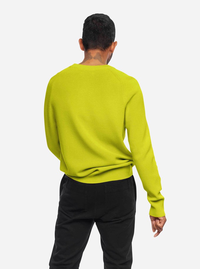 The Crewneck Sweater from TEYM