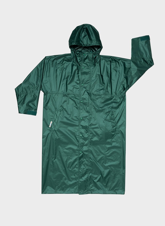 Susan Bijl | The New Raincoat Pine from The Blind Spot