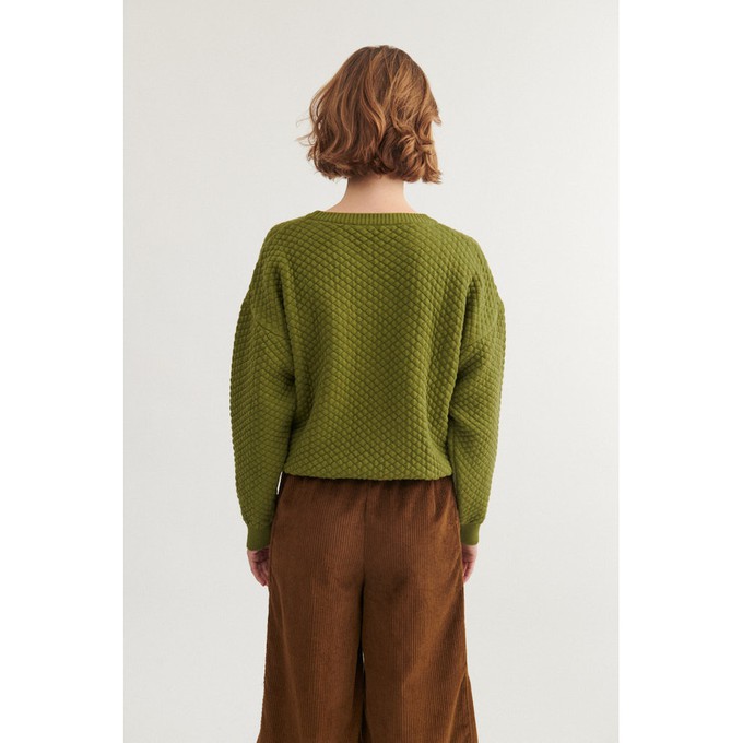 Sweater Lis Mayfly from The Blind Spot