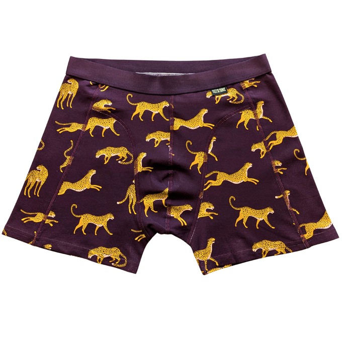 Urban Safari / 2er Boxer Brief Pack from TIZZ & TONIC