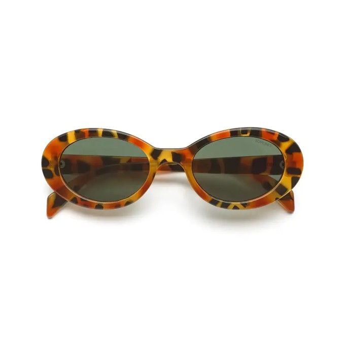 Komono Zonnebril Ana Amber Shell from UP TO DO GOOD