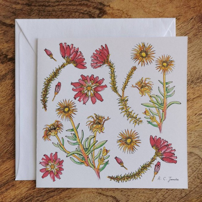 Single Fynbos Greeting Card from Urbankissed