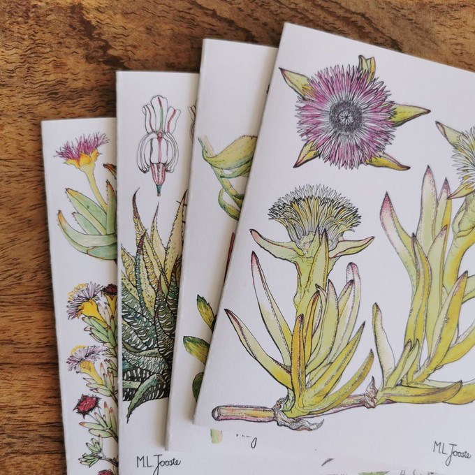 Set Of 4 Fynbos Greeting Cards from Urbankissed