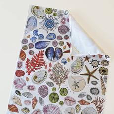 Seashell Tea Towel Cotton - Colorful van Urbankissed
