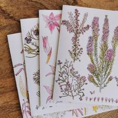 Set Of 4 Fynbos Greeting Cards via Urbankissed