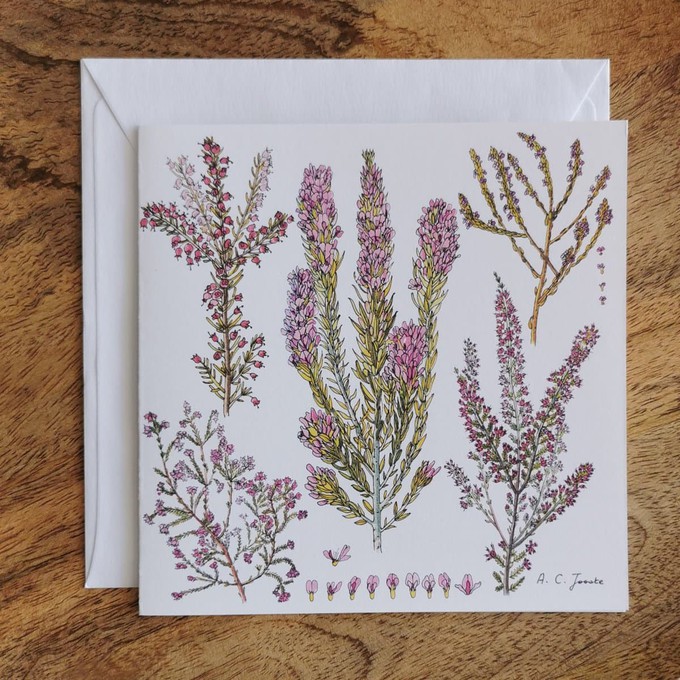 Single Fynbos Greeting Card from Urbankissed