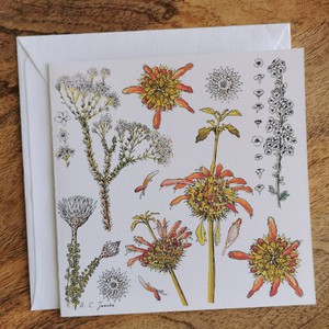 Single Fynbos Greeting Card from Urbankissed