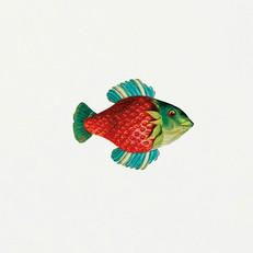 Bask in the Sun | wit t-shirt strawberry fish via WWen