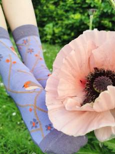 Fraulein Prusselise | damessokken roodborstje lila via WWen