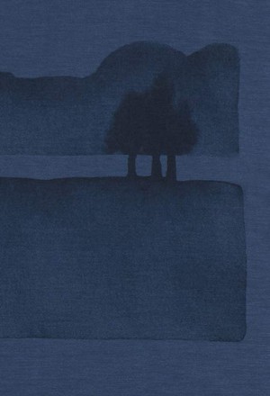 Päälä | bamboe t-shirt misty landscape denim blue from WWen