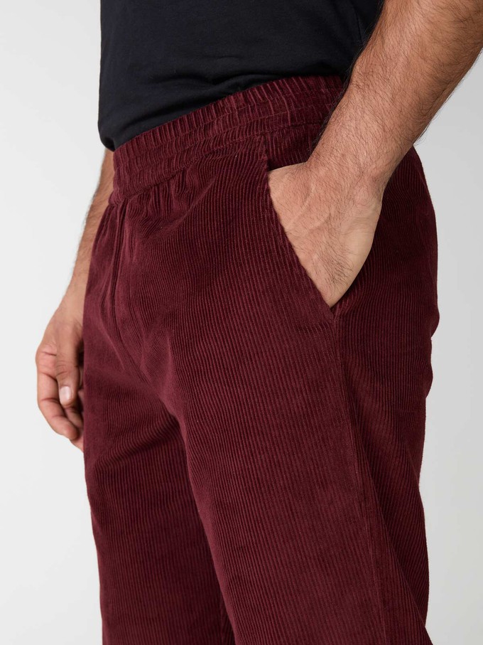 Otmar Pants wine from Yahmo