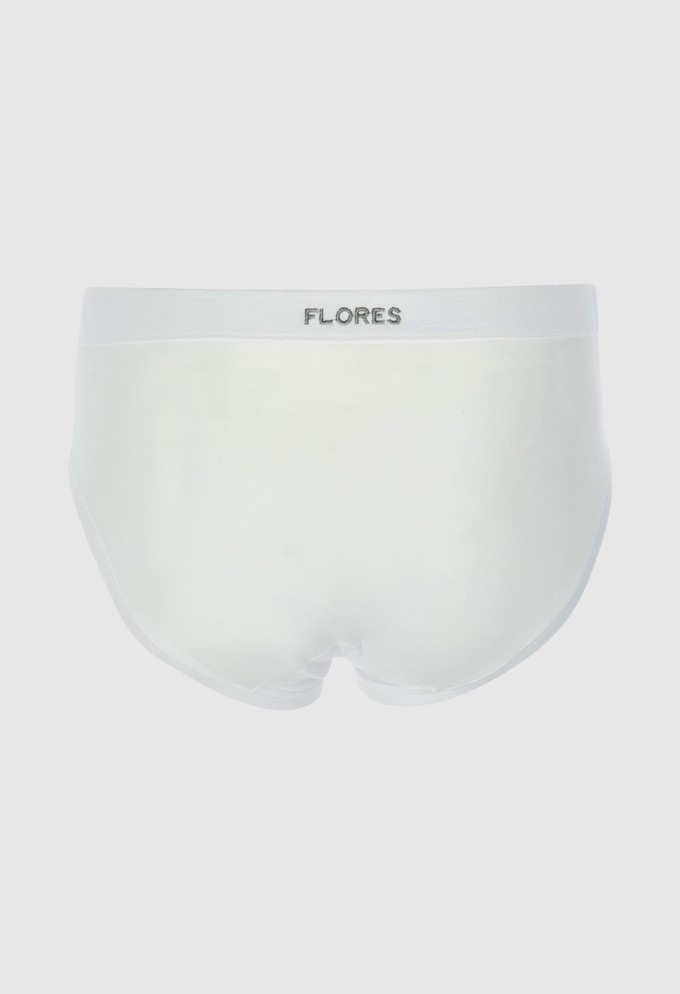 Sepang MicroModal® fly front brief from ZD ZERO DEFECTS