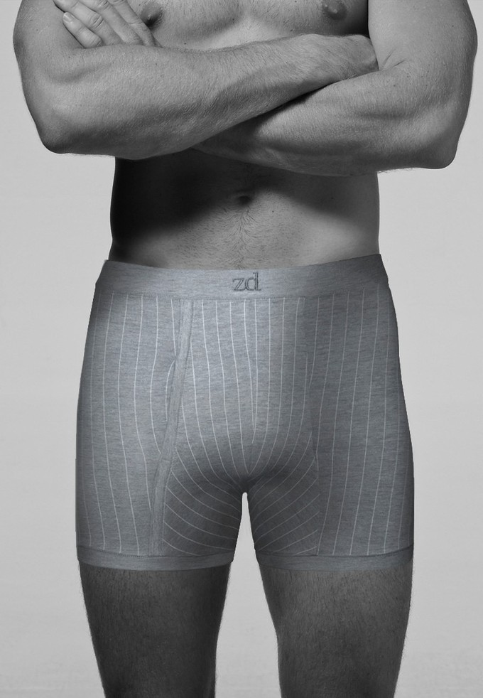 Helios prinstriped fly front boxer from ZD ZERO DEFECTS