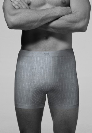 Helios prinstriped fly front boxer from ZD ZERO DEFECTS