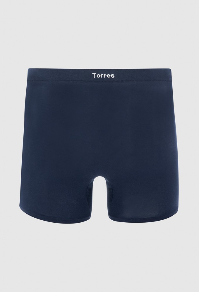 Breno MicroModal® boxer from ZD ZERO DEFECTS