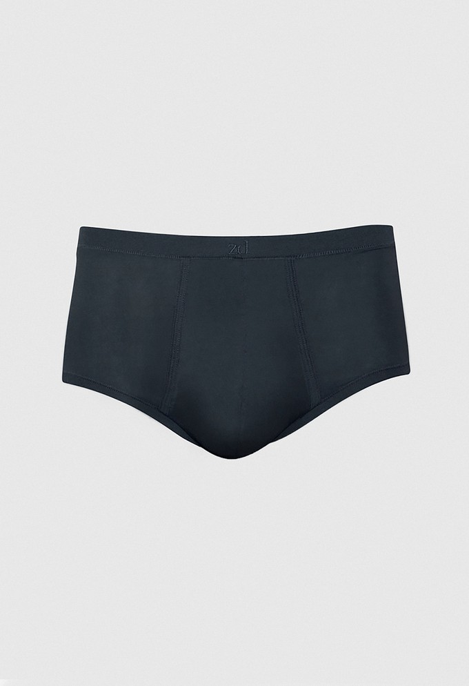 Sepang MicroModal® fly front brief from ZD ZERO DEFECTS