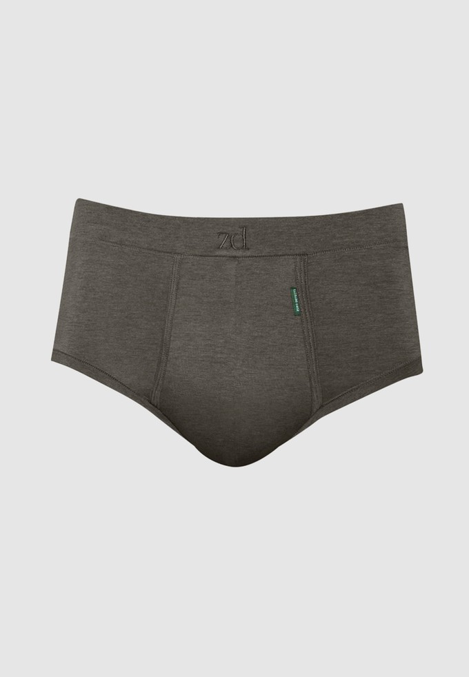 Saturno soya fly front brief - plus size from ZD ZERO DEFECTS