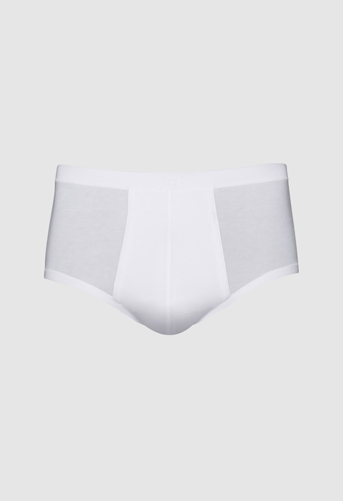Sepang MicroModal® fly front brief from ZD ZERO DEFECTS