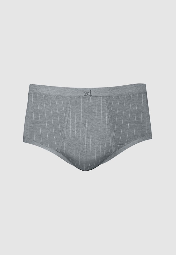 Senior pinstriped fly front brief from ZD ZERO DEFECTS