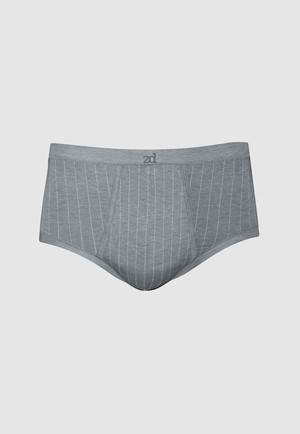 Senior pinstriped fly front brief from ZD ZERO DEFECTS