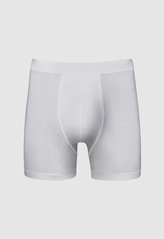 Breno MicroModal® boxer from ZD ZERO DEFECTS