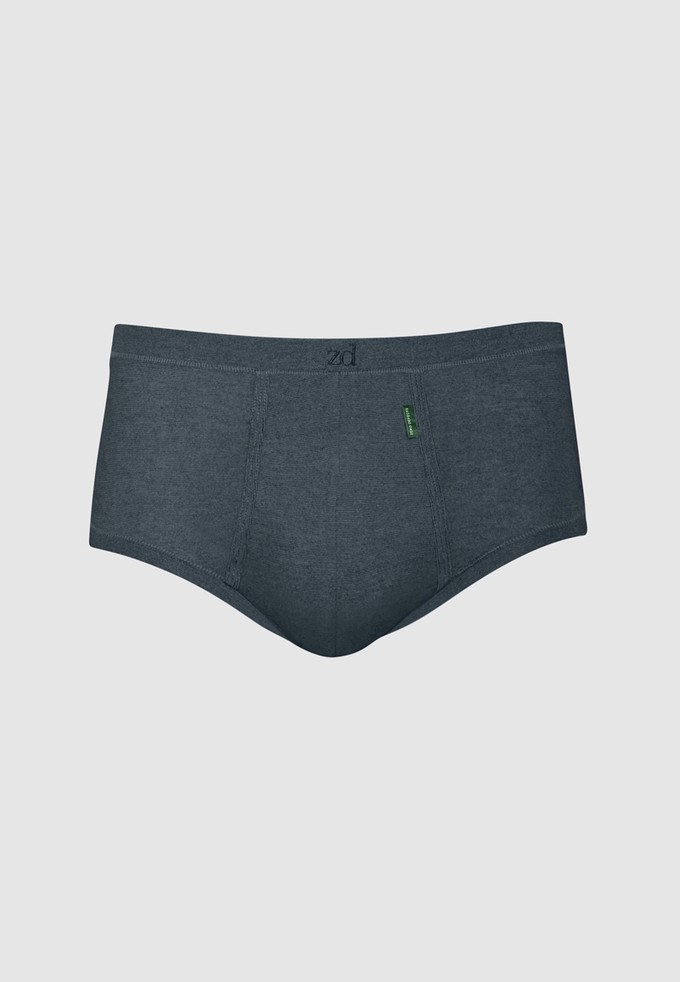 Senior Fly Front Brief - plus size from ZD ZERO DEFECTS