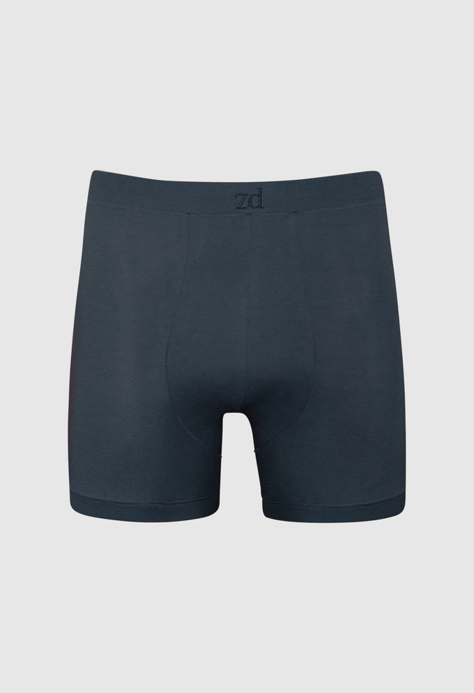 Breno MicroModal® boxer from ZD ZERO DEFECTS