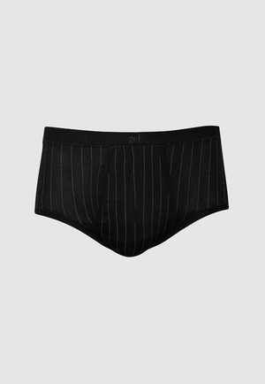 Senior Pinstriped Fly Front Brief - plus size from ZD ZERO DEFECTS