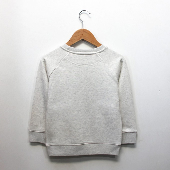 Kinder sweater ‘White as snow tiger’ – Beige melange from zebrasaurus