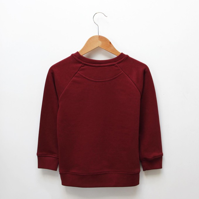 Kinder sweater ‘Horse-d’oeuvre’ | Burgundy from zebrasaurus