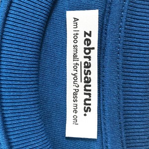 Kinder sweater ‘Hippo Opticmistic’ | Blue from zebrasaurus