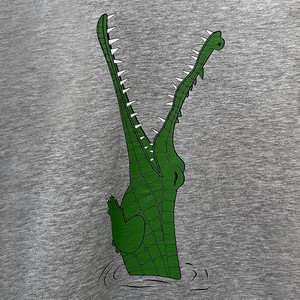 Kinder t-shirt ‘Croc monsieur’ | Grey melange from zebrasaurus