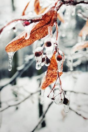 Brace yourself winter is coming!